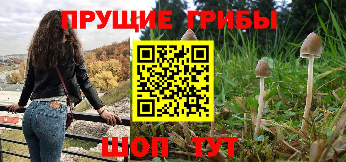 Озёры  Галлюциногенные грибы Cubensis  Вход с VPN 