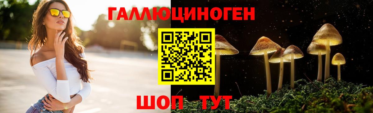 Псилоцибиновые грибы GOLDEN TEACHER Озёры